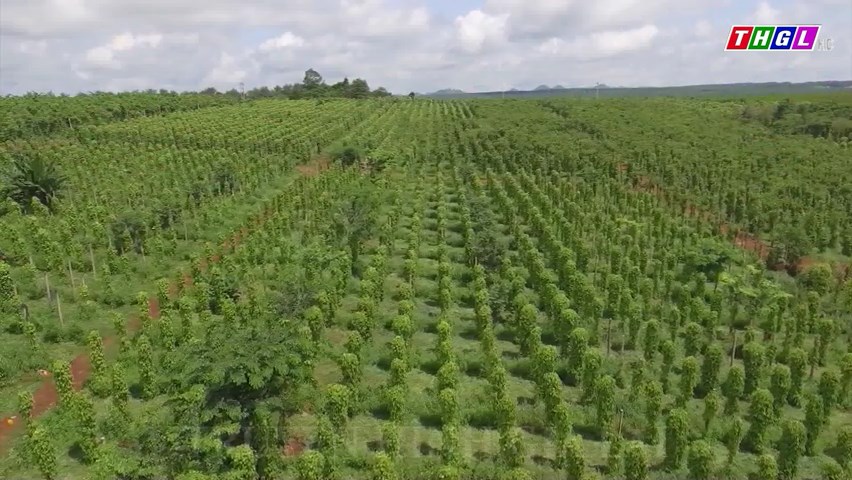 Tỉnh Gia Lai có 132 dự án được phê duyệt duyết định chủ trương đầu tư