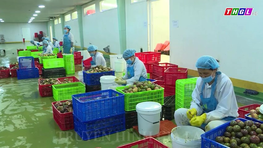 Bản tin về Thị trường lao động 29.10.2023