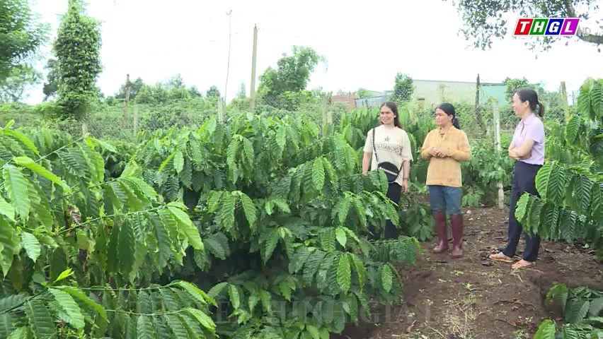 Thoát nghèo nhờ sử dụng hiệu quả nguồn vốn vay