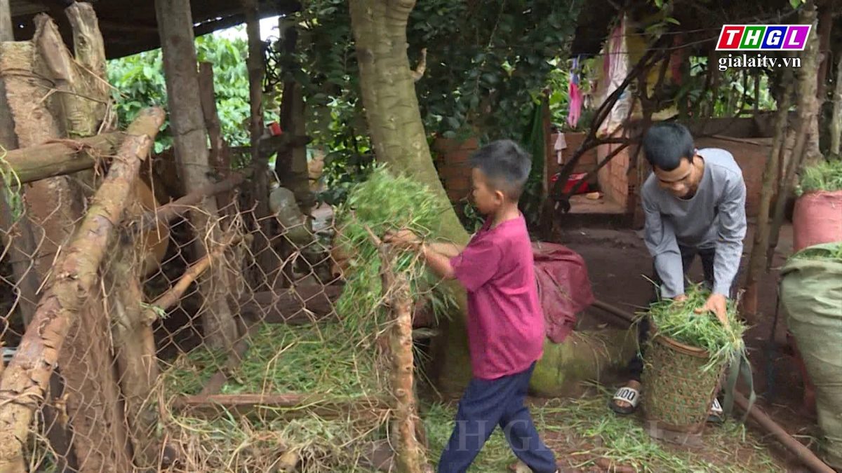 Trao sinh kế cho học sinh có hoàn cảnh khó khăn