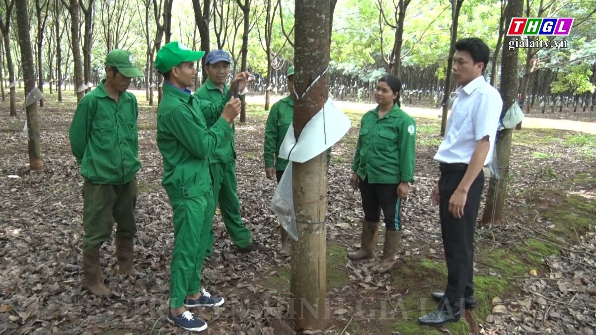 Sức lan tỏa từ phong trào “Tuổi trẻ sáng tạo”