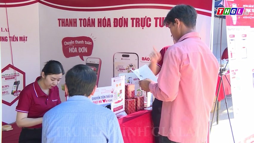 Hỗ trợ xây dựng 85 website, phần mềm cho doanh nghiệp, hợp tác xã