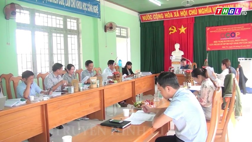 Đak Pơ đánh giá, phân hạng 6 sản phẩm OCOP cấp huyện năm 2023