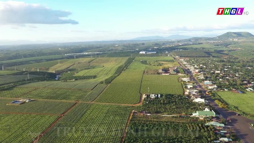 Gia Lai phấn đấu đến năm 2030 xây dựng được 3 cảng cạn (ICD) phục vụ hạ tầng logistics