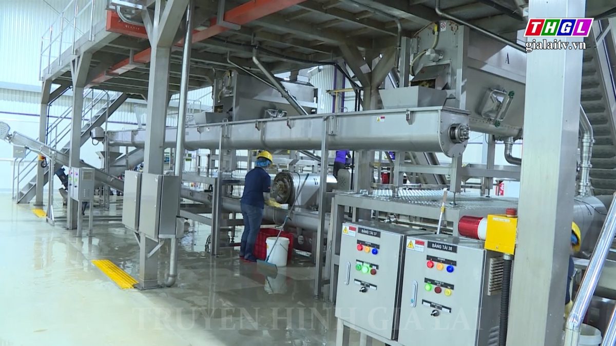 Phấn đấu đưa Gia Lai trở thành một đầu mối logistics quan trọng của vùng