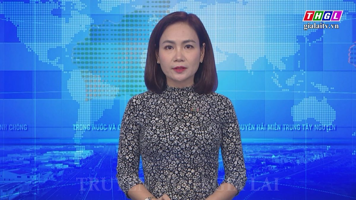 Triển khai thực hiện nhiệm vụ Đề án 06 của Chính phủ