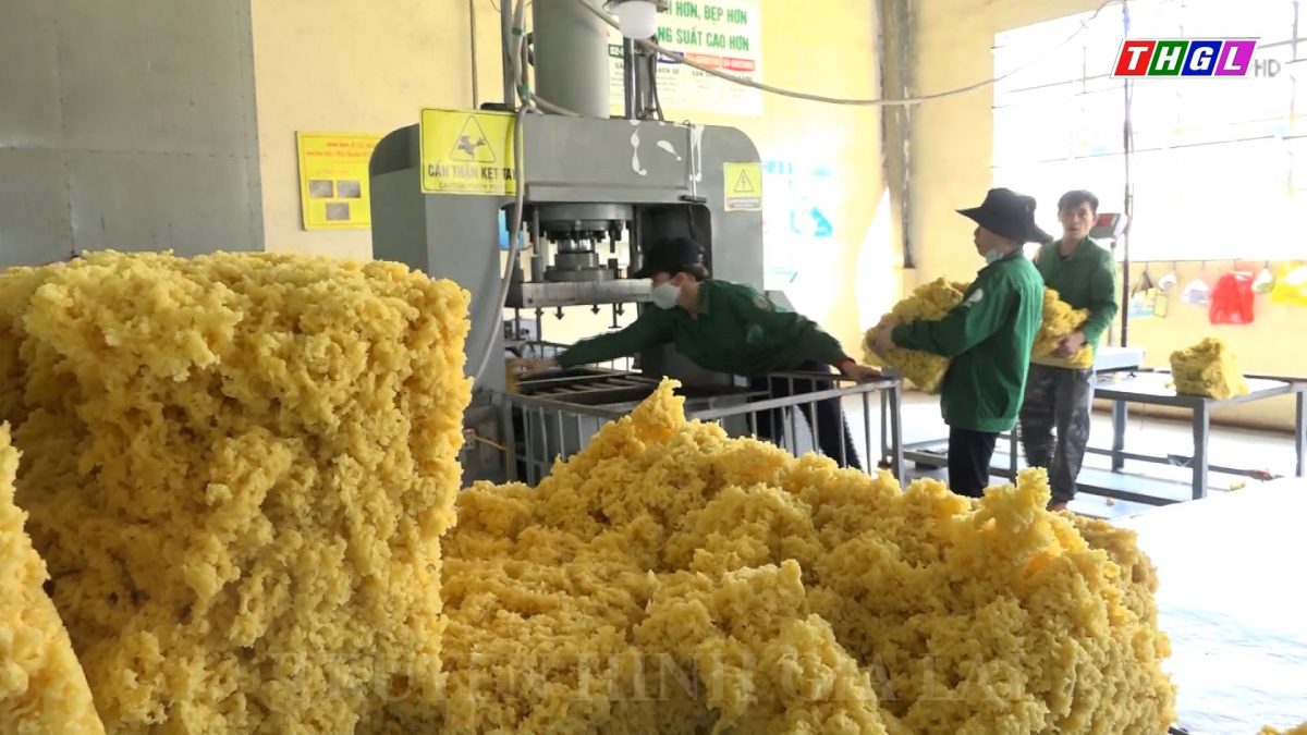 Công đoàn Công ty TNHH  MTV cao su Mang Yang  có 171 sáng kiến trong chương trình Triệu sáng kiến của Công đoàn Việt Nam