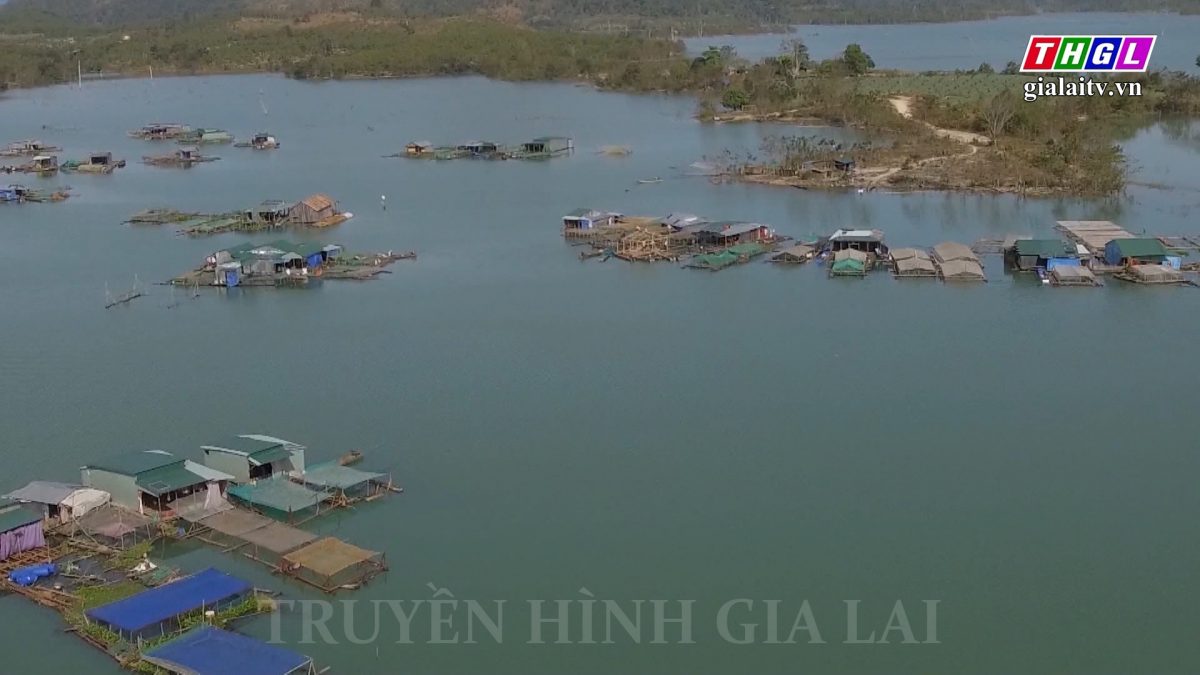 Gia Lai – Tổng sản lượng nuôi trồng, khai thác thủy sản 9 tháng đạt gần 5.600 tấn