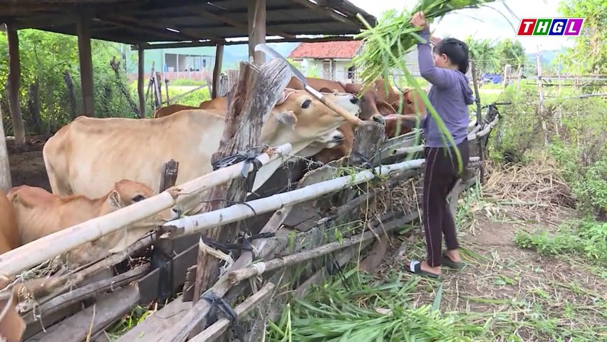 Gia Lai tăng cường sự tiếp cận của phụ nữ nghèo ở nông thôn, phụ nữ người dân tộc thiểu số với các nguồn lực kinh tế, thị trường