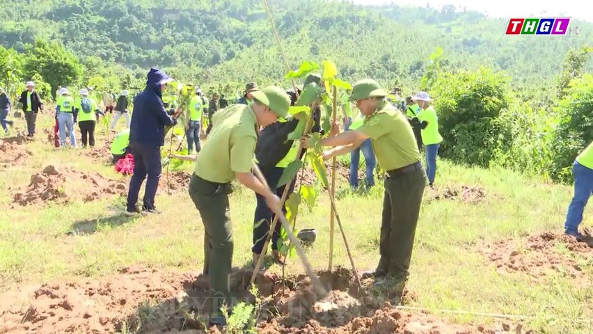 Gia Lai tăng tốc đẩy nhanh tiến độ trồng rừng