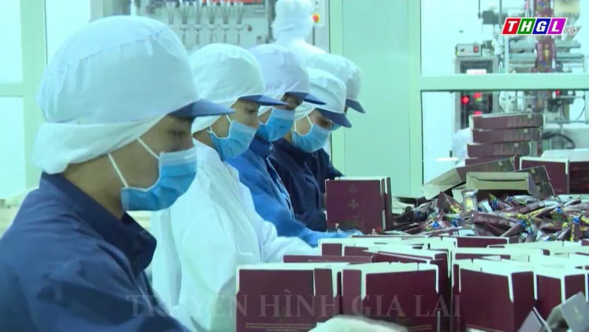 Gia Lai tập trung chế biến cà phê chất lượng cao, hướng đến xuất khẩu