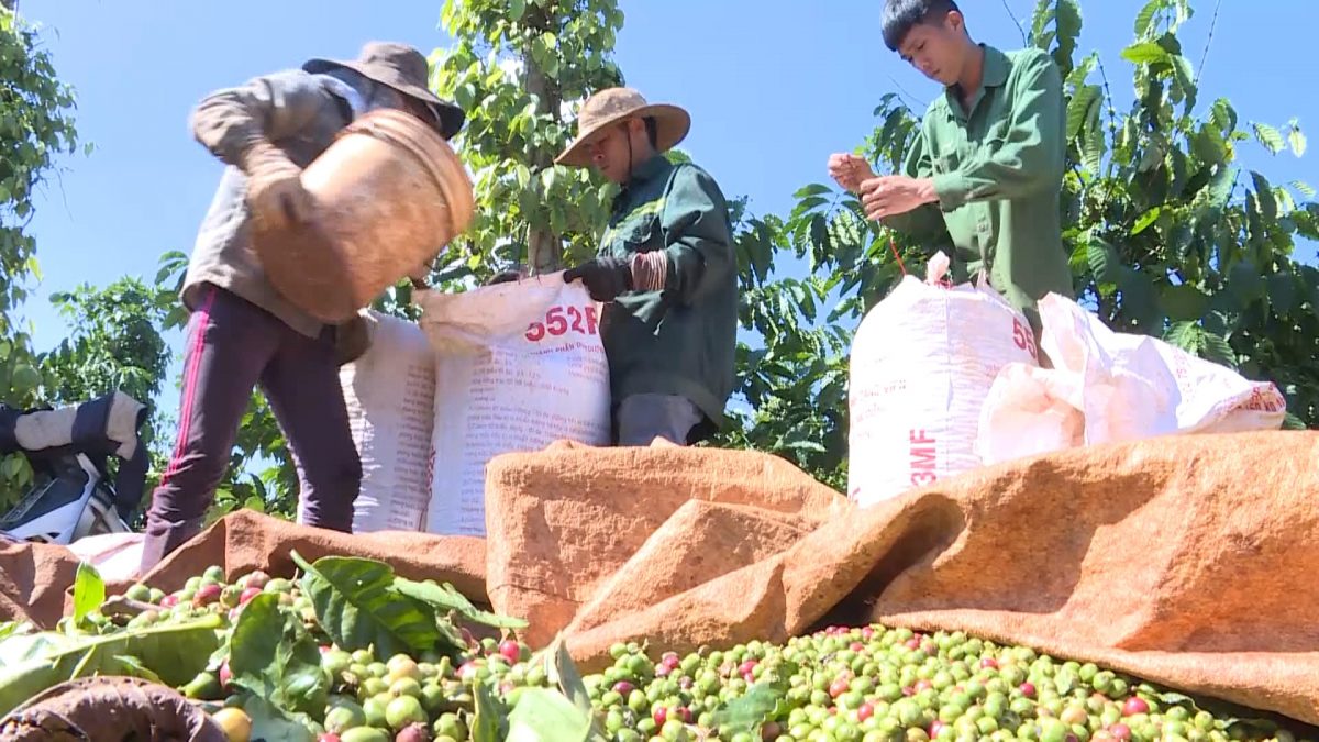 Huyện Mang Yang đề xuất, kiến nghị trả lại ngân sách nhà nước gần 8,5 tỷ đồng vốn thực hiện Tiểu dự án 1 của Dự án 3 Chương trình DTTS và miền núi