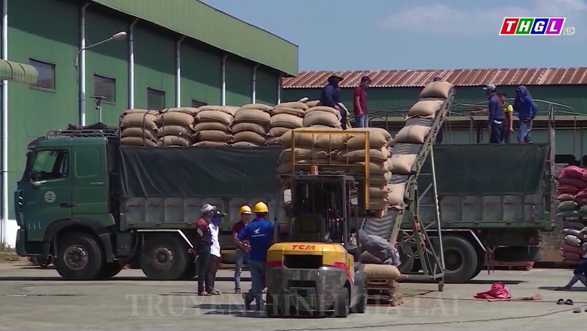 Kim ngạch xuất khẩu của tỉnh Gia Lai ước đạt 570 triệu USD