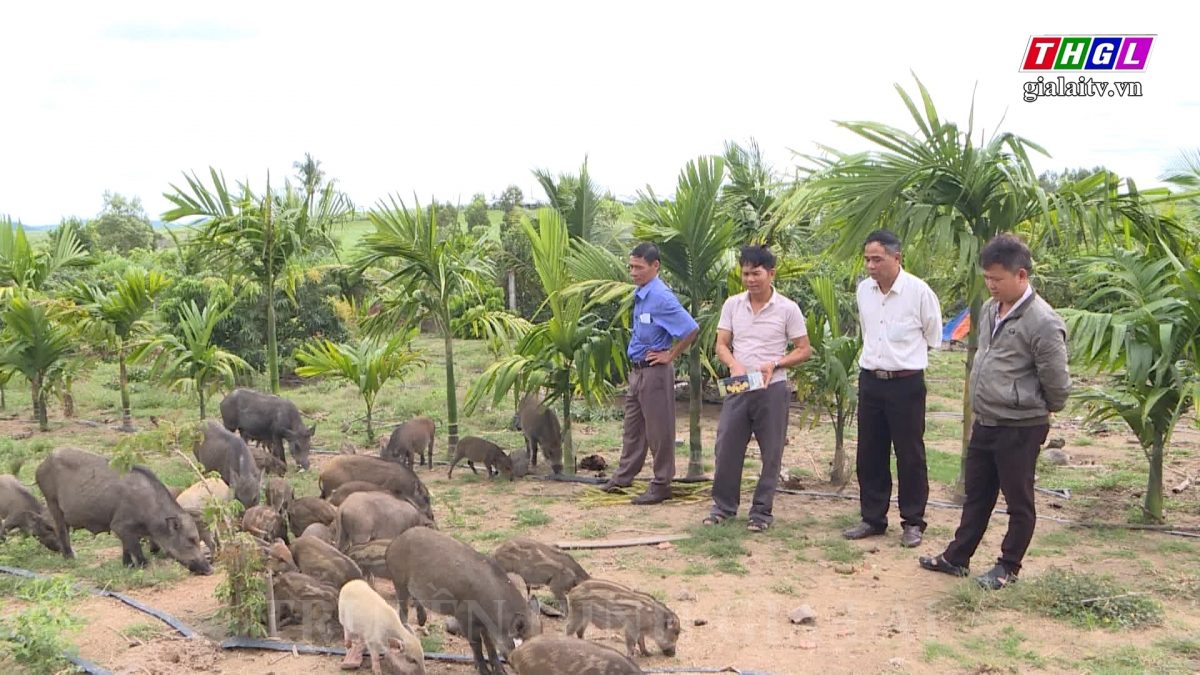 Thực hiện hiệu quả Cuộc vận động “Làm thay đổi nếp nghĩ, cách làm trong đồng bào dân tộc thiểu số để từng bước vươn lên thoát nghèo bền vững”