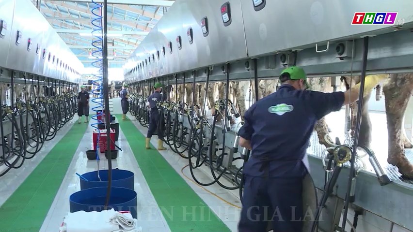 Dịch vụ logistics – Lĩnh vực đầu tư tiềm năng vào Gia Lai