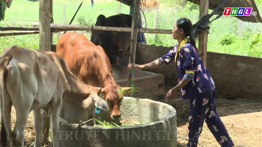 Hỗ trợ sinh kế, nhân rộng mô hình giảm nghèo hiệu quả để giảm nghèo bền vững