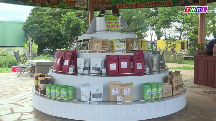 Phát triển sản phẩm OCOP tại Gia Lai