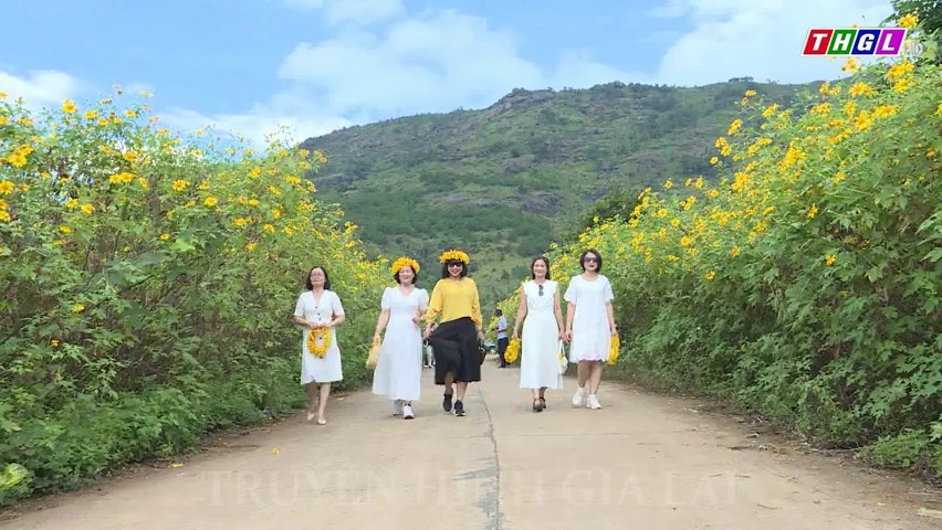 Sắc màu hoa Dã quỳ trong lòng du khách thập phương