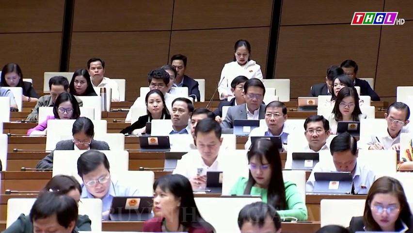 Kỳ họp thứ 6, Quốc hội khóa XV thảo luận chung tại hội trường