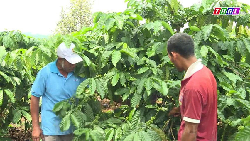 Thị trấn Phú Hoà, huyện Chư Păh tăng cường thực hiện Chương trình mục tiêu quốc gia giảm nghèo bền vững