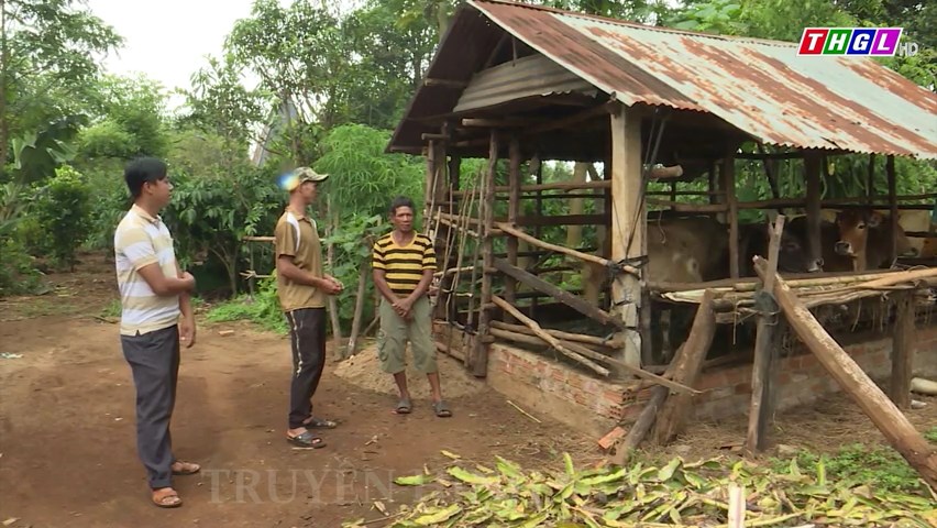 Thị trấn Phú Hoà tăng cường các chương trình hỗ trợ hộ nghèo, hộ cận nghèo