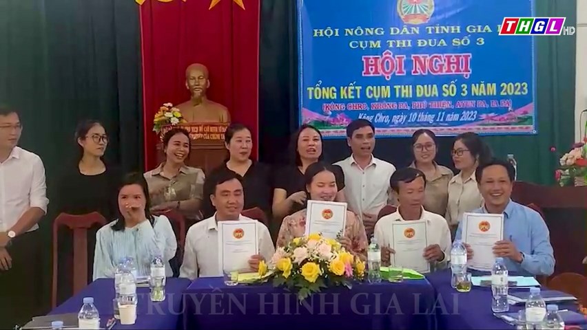 Hội Nông dân tỉnh Gia Lai tổng kết Cụm thi đua số 3 năm 2023