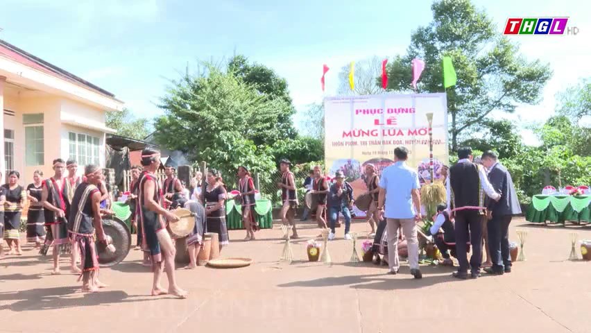 Phục dựng Lễ Mừng lúa mới tại huyện Đak Đoa