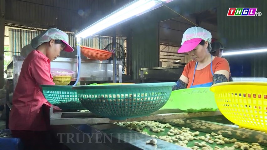 Gần 39.000 người trên địa bàn tỉnh Gia Lai tham gia các loại bảo hiểm trong tháng 10/2023