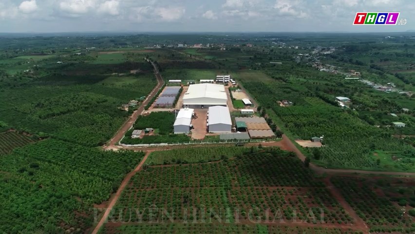 Gia Lai: 8/13 cụm công nghiệp đã đầu tư xây dựng hạ tầng kỹ thuật với tổng kinh phí 184,6 tỷ đồng