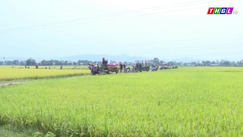 Hội Nông dân huyện Ia Pa mở rộng mô hình phát triển nông sản sạch