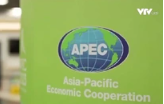 Việt Nam tích cực, chủ động đóng góp cho hợp tác APEC