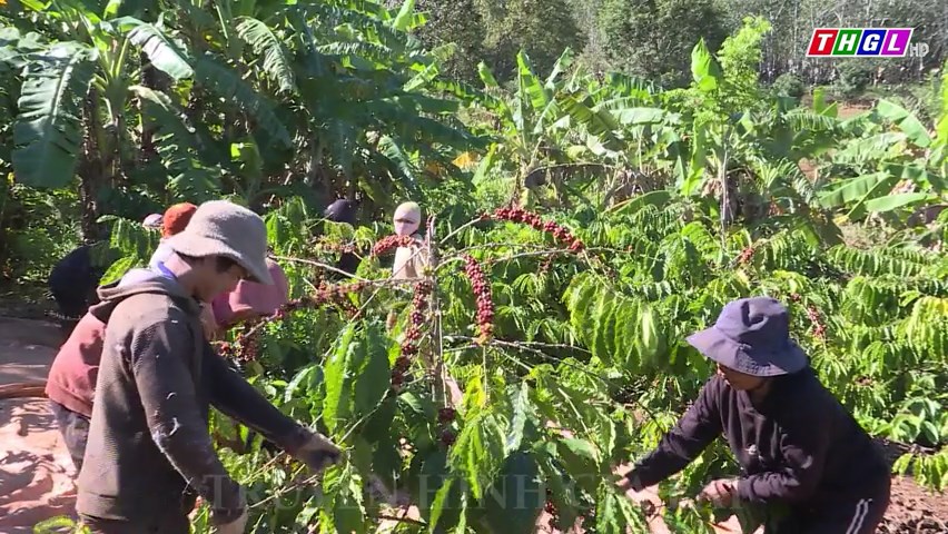 Bản tin “Thông tin đối ngoại vùng DTTS và miền núi” ngày 07/12/2023