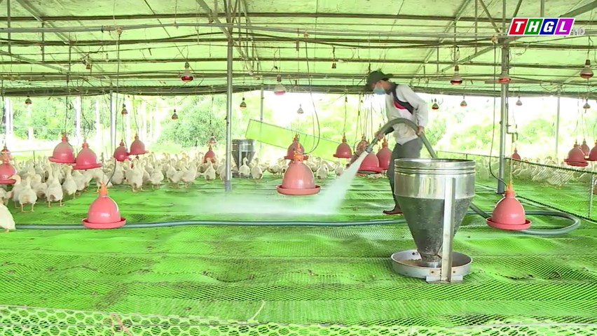 Hợp tác xã Nông nghiệp Hnol sản xuất theo hướng hữu cơ