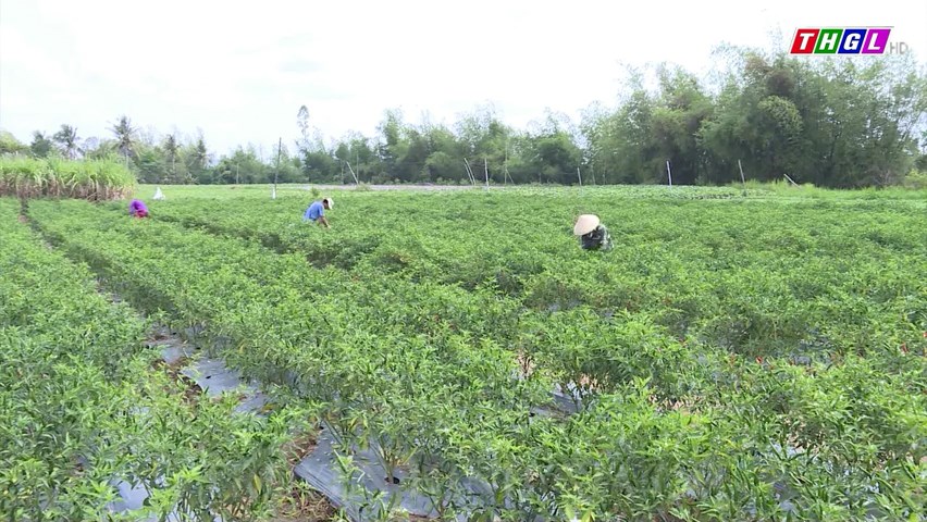 Hiệu quả từ chương trình giảm nghèo bền vững ở huyện Đak Pơ