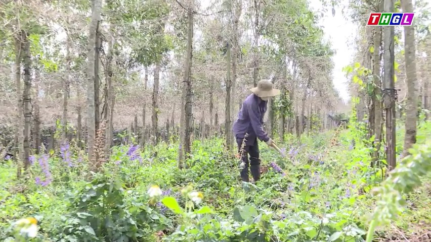 Mang Yang thực hiện các dự án phát triển sản xuất gắn với tiêu thụ sản phẩm