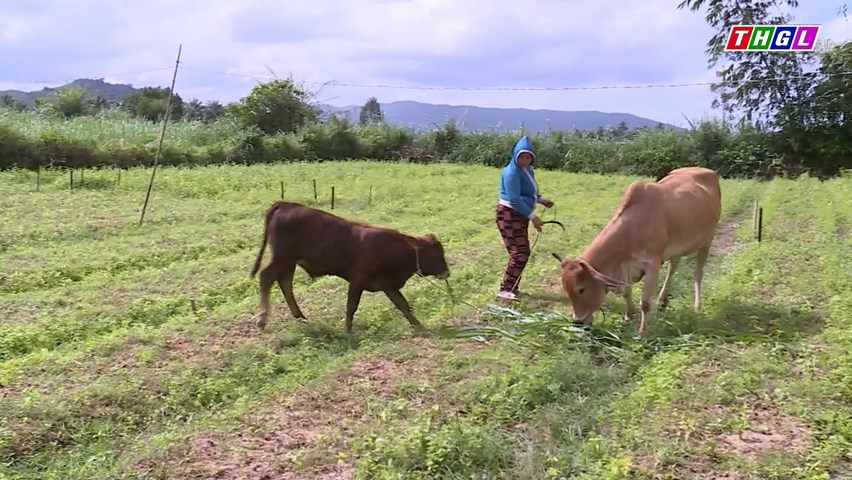 Phường An Phú, thị xã An Khê triển khai hiệu quả Chương trình giảm nghèo năm 2023