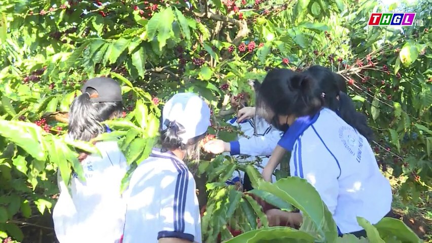 Hơn 70 học sinh tham gia trải nghiệm “Em là bác nông dân nhí”