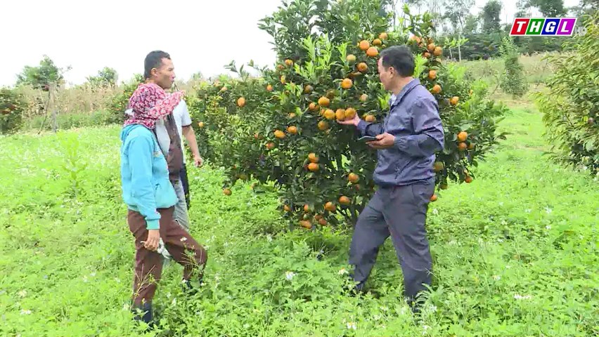 Kbang triển khai nhiều mô hình khuyến nông trong năm 2023