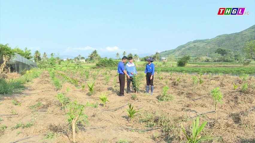 Năm 2023: Huyện đoàn Đak Pơ có 05 sản phẩm của đoàn viên, thanh niên đăng kí Chương trình Mỗi xã một sản phẩm