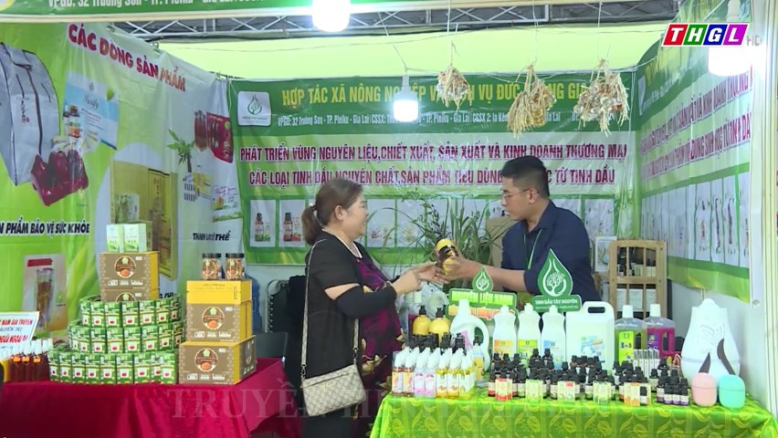 Năm 2024, hơn 25,3 tỷ đồng hỗ trợ các HTX tham gia Đề án lựa chọn, hoàn thiện, nhân rộng mô hình HTX kiểu mới hiệu quả tại Gia Lai