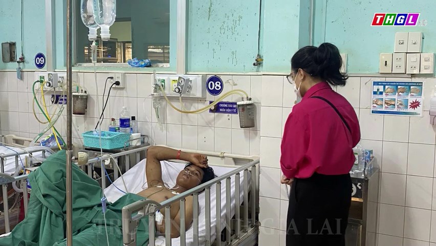 Đã có 3 trường hợp tử vong do ăn thịt cóc trên địa bàn tỉnh Gia Lai