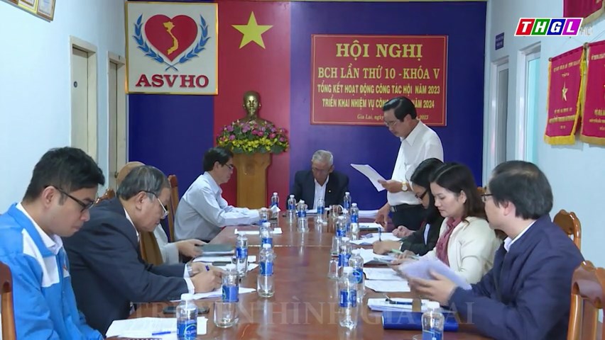 Hội Bảo trợ người khuyết tật và Bảo vệ quyền trẻ em tỉnh Gia Lai tổ chức Hội nghị Ban Chấp hành lần 10 – Khóa V