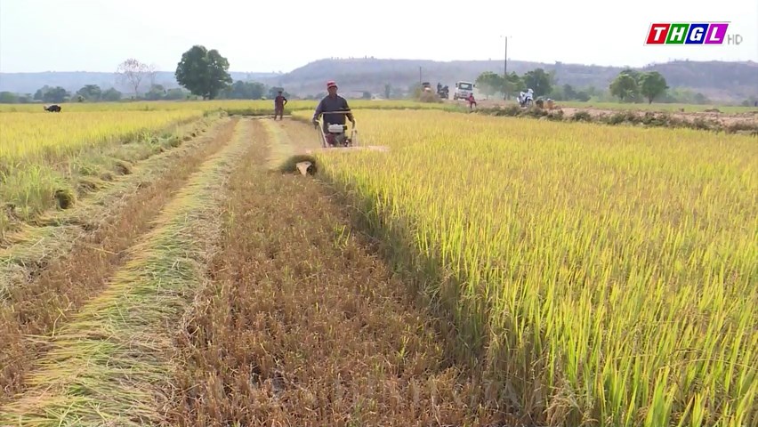 Huyện Chư Pưh phấn đấu trở thành huyện NTM vào năm 2025