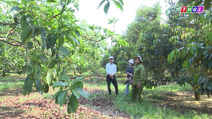 Huyện Chư Pưh tập trung xây dựng mã số vùng trồng đối với các loài cây trồng chủ lực