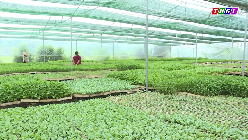 Kbang: Gần 164 tỷ đồng triển khai 3 chương trình mục tiêu quốc gia trong năm 2023