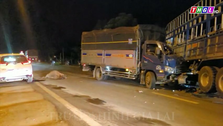 Tai nạn giao thông trên Quốc lộ 25 do xe tải tông bò thả rông