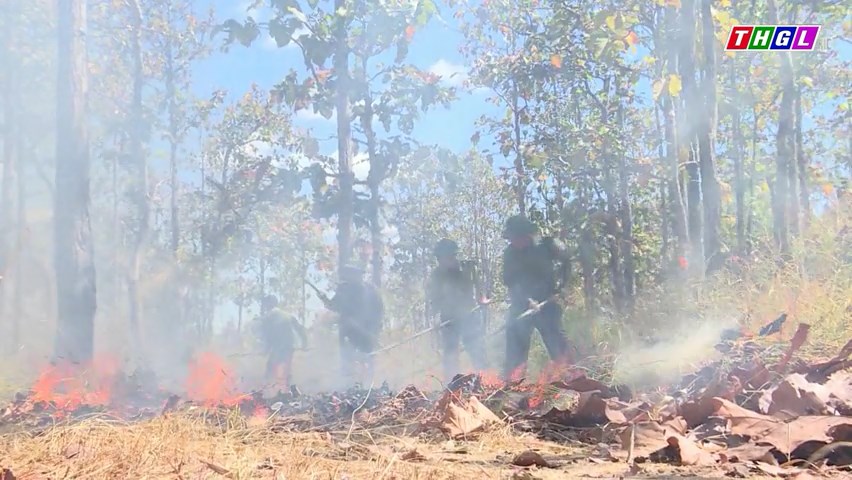 Tỉnh Gia Lai xác định 286 vùng trọng điểm về cháy rừng