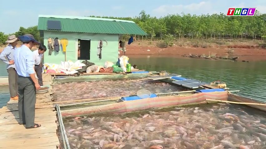 Tổng sản lượng thủy sản năm 2023 của huyện Ia Grai đạt 300 tấn