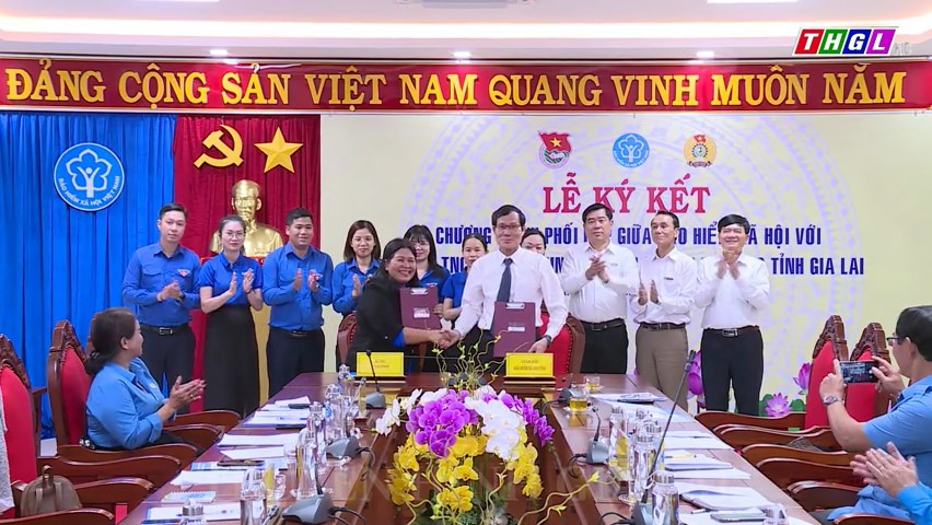 BHXH tỉnh Gia Lai ký kết Quy chế phối hợp với Liên đoàn Lao động tỉnh và Tỉnh đoàn Gia Lai