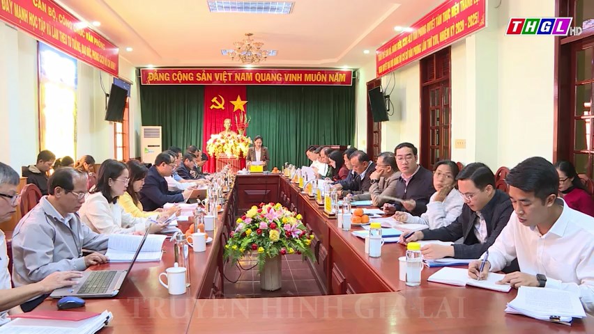 Đoàn Đại biểu Quốc hội tỉnh Gia Lai làm việc với một số sở, ngành của tỉnh